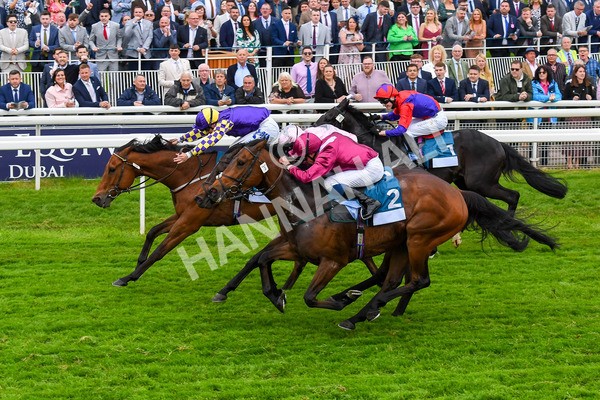 190523-Race 6-Eligible-0840 - Race 6 4.45pm Yorkshire Equine Practice Handicap