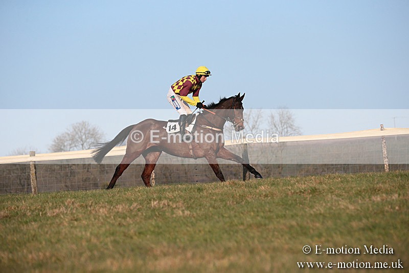 PtP 230219 608 - Vine & Craven Point-To-Point - Barbury 23/02/19