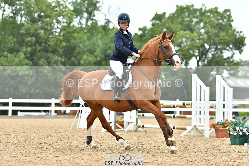 230730A-091159-08163 - Cls 31 British Novice & 90cm Open