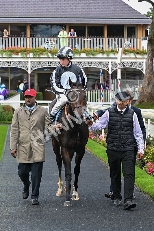 060926-Race 1-Mezzo Forte-6911 - Race 1 1.30pm Irish Thoroughbred Marketing 'Confined' EBF Maiden Stakes