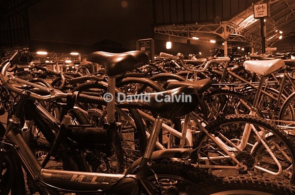 Cycle Park - Nocturnal