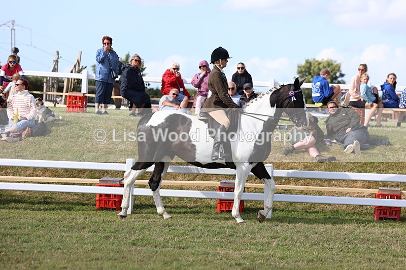 3E7A3791 - Supreme Championship