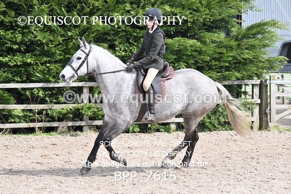 BPP_7615 - RING 1  (RIDDEN HORSES / IN HAND / VETERAN ETC)