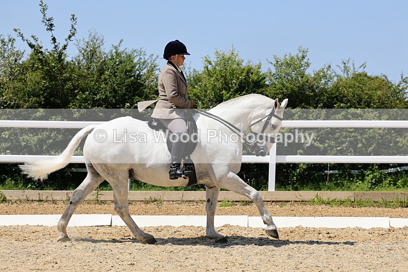 1X9A1733 - Class 11: Ridden Cob