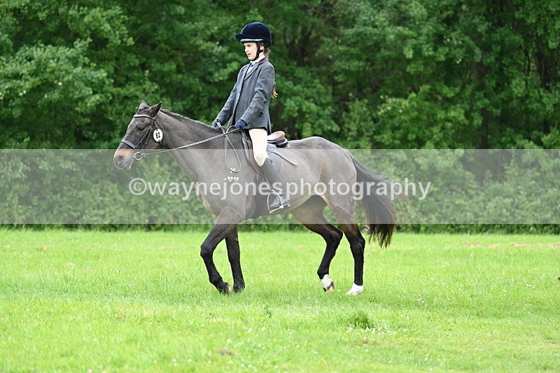 WJ7_4490 - Class 14B Prettiest Mare