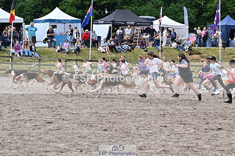 250524A-152734-12753 - East Devon Hounds