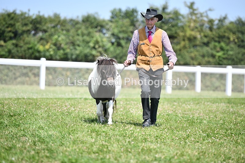 DSC_7662 - Class 64: Coloured Pony 4yrs & over