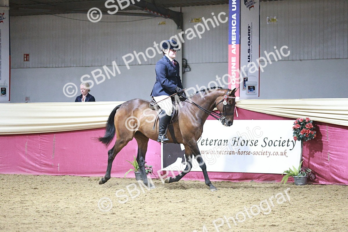 SBM_08046 - Class 11R - Regional Ridden Veteran