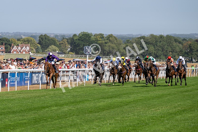 120826-Race 2-Empire Rising-5595 - Race 2 14.45pm 911 At Porsche Centre Hull EBF Restricted Maiden Stakes