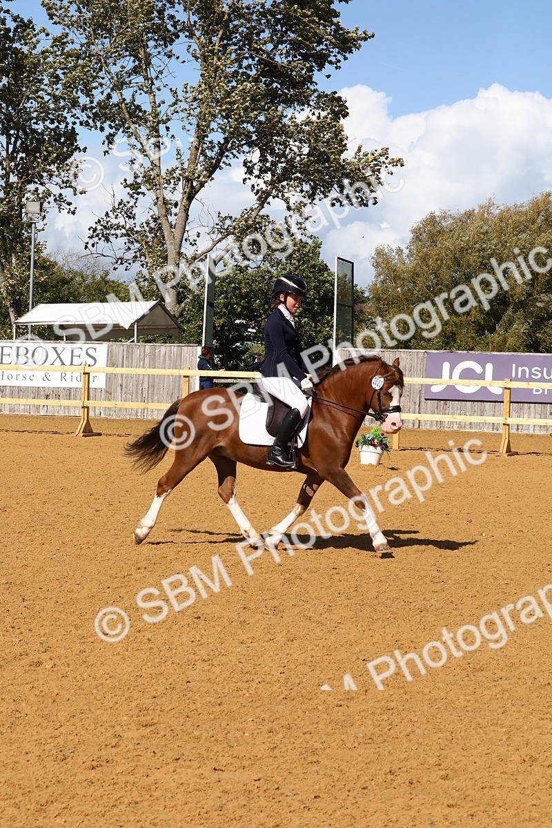 SBM_23501 - D5 - Small Tour Championshop Intro 2