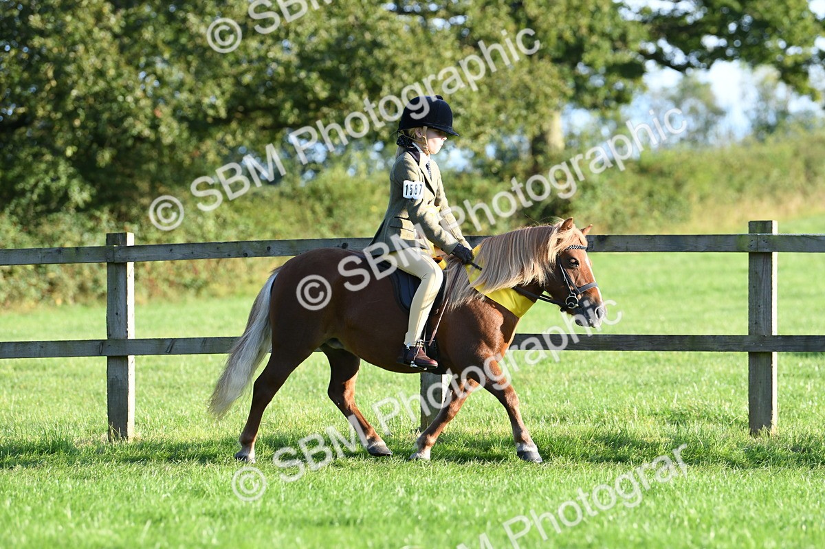 SBM_56402 - 1st Ridden Supreme Championship