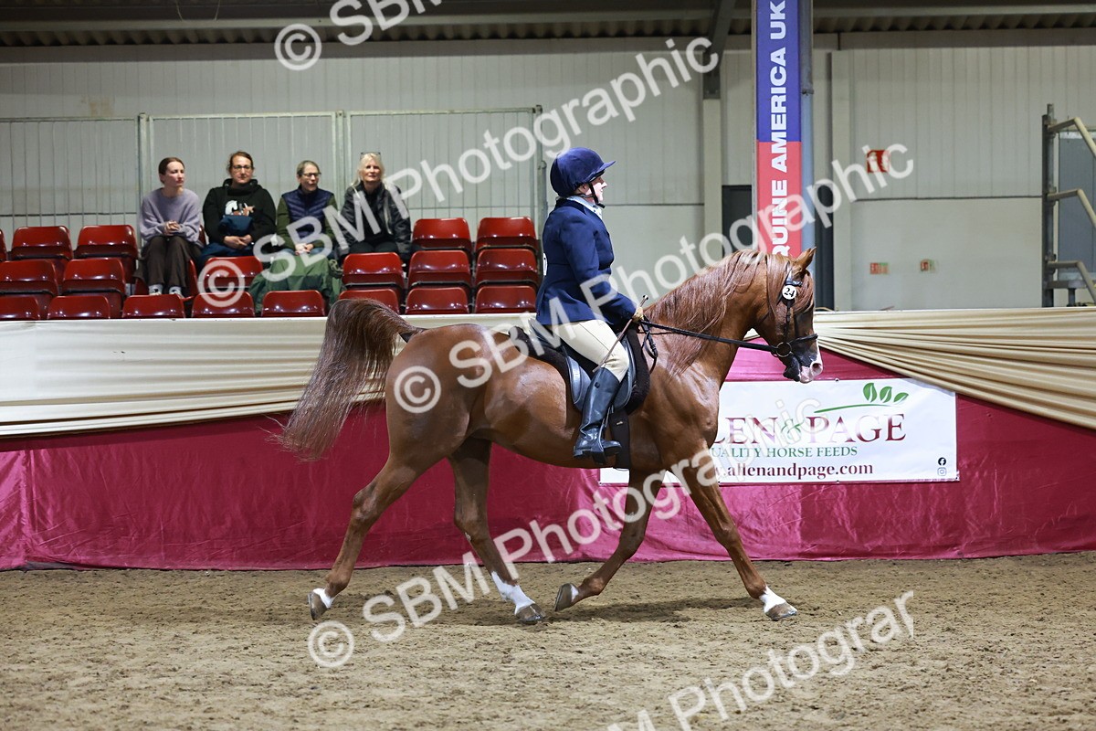 SBM_21270 - Class S - Style & Performance Champ