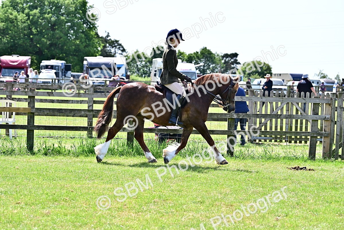SBM_07876 - Class 61-62 - TSR  M&M Ridden Amateur of the Year