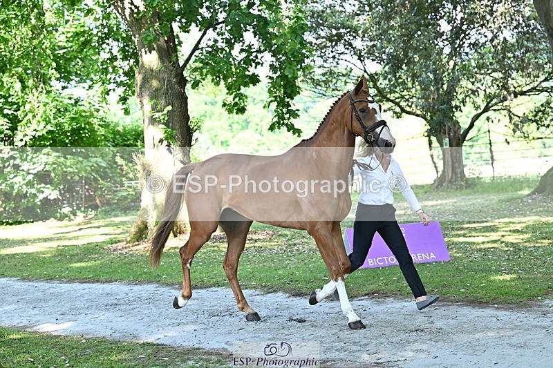 250521A-160229-00877 - C-227-Jonelle.Price-I.LIKE.IT.DE.ROHAN