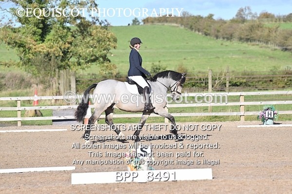 BPP_8491 - SHORT ARENA INTRO 1