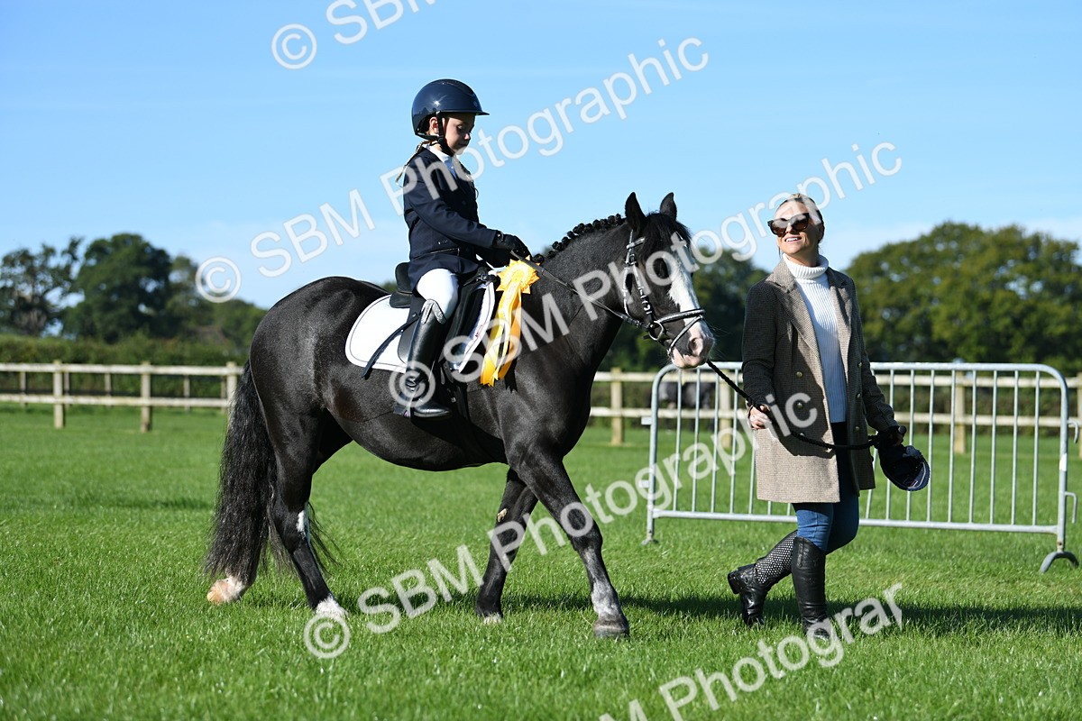 SBM_35528 - S17 - Condition & Turnout - Lead Rein