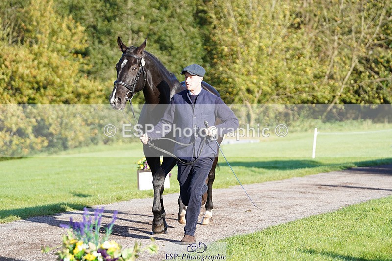 241026-100648-11617 - 058-Jack.Ashworth-TIMEPEICE.BLUE