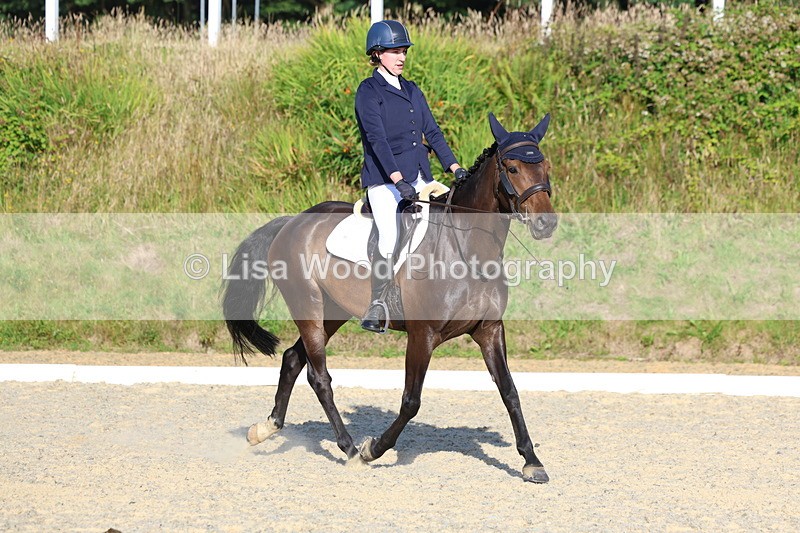 3E7A3730 - Class 2: Intro 1 2024 Section B