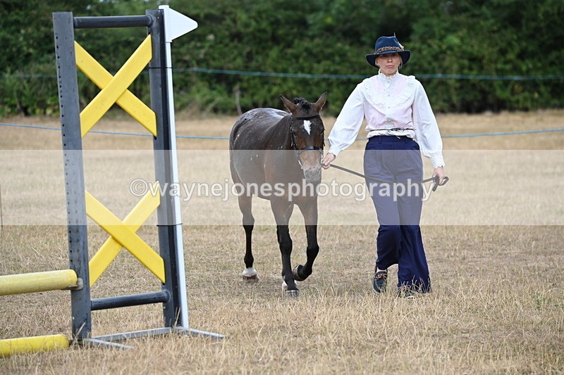 WJ6_8051 - Class 10 Coloured in Hand