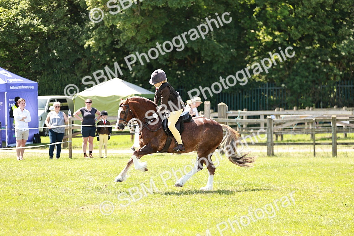 SBM_15507 - Class 108-109 - BSPS LIHS Open Gradle & Nursery Stakes