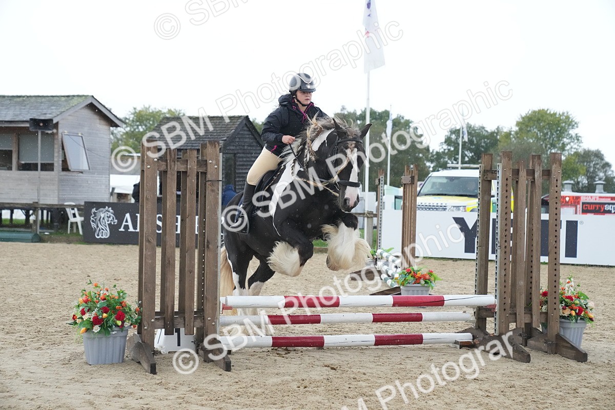 SBM_01572 - J54 - Clear Round 50cm