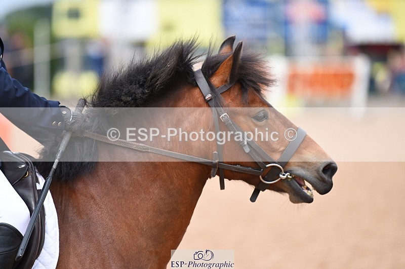 230716A-123356-02644 - Club and Schools 60cm