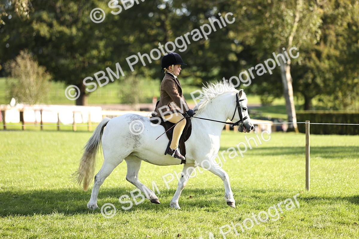 SBM_29322 - S7 - Novice & Newcomers Ridden Pony