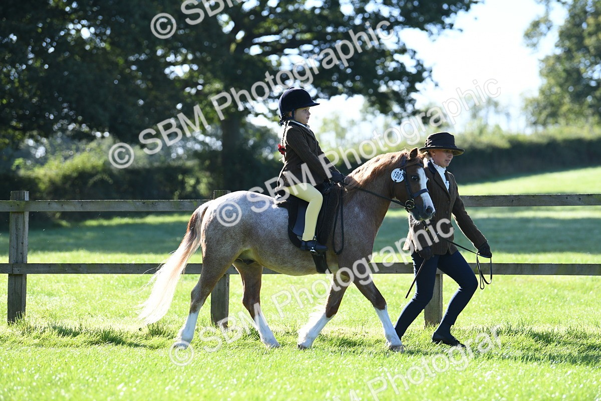 SBM_36703 - S18 - Novice & Newcomers Lead Rein Pony