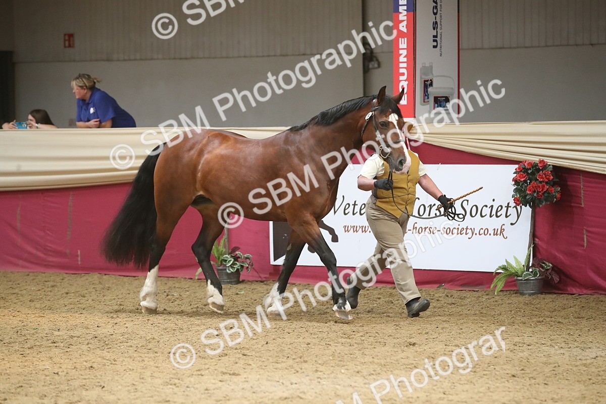 SBM_05550 - Class 9R - Regional IH Pre-Vet