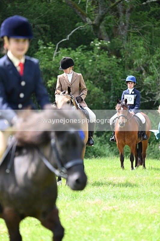 WJ7_1585 - Class 11 Condition & Turnout