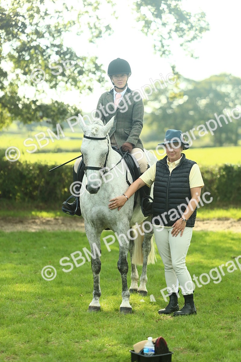 SBM_52163 - S33 - Working Hunter & Working Show Horse