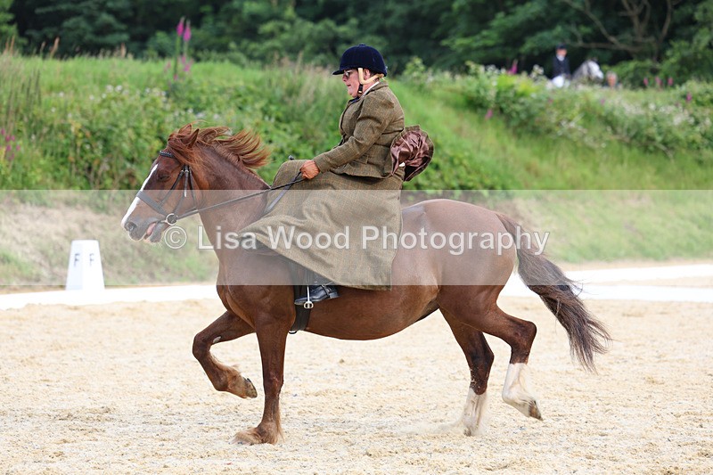 3E7A2090 - Class 3: Prelim 2 2024 Section A