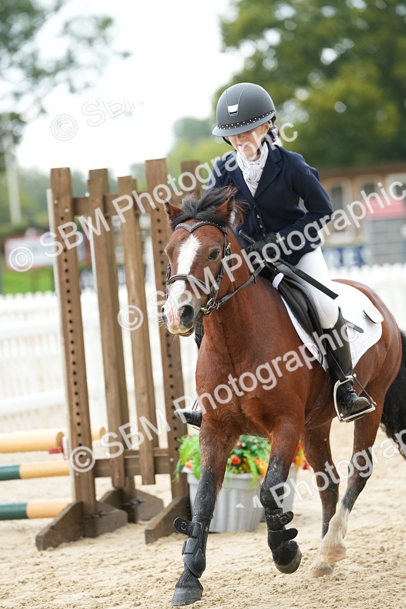 SBM_33456 - J5 - Junior Pony 50cm Championship