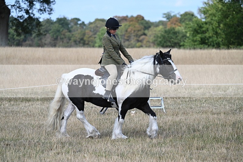 WJ7_6804 - Class 14 Ridden Coloured