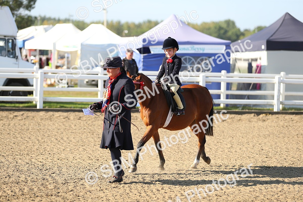 SBM_00499 - Class 41 Best Turned Out Ridden