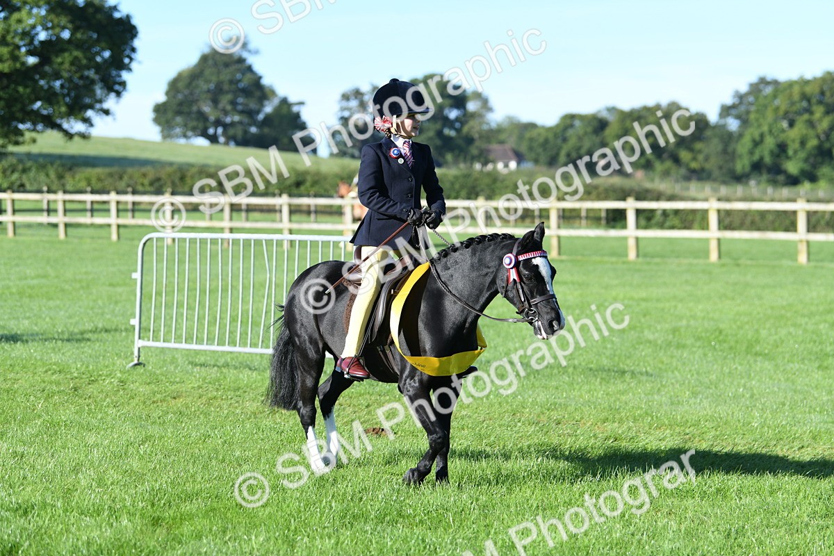 SBM_34133 - S16 - Condition & Turnout - Ridden