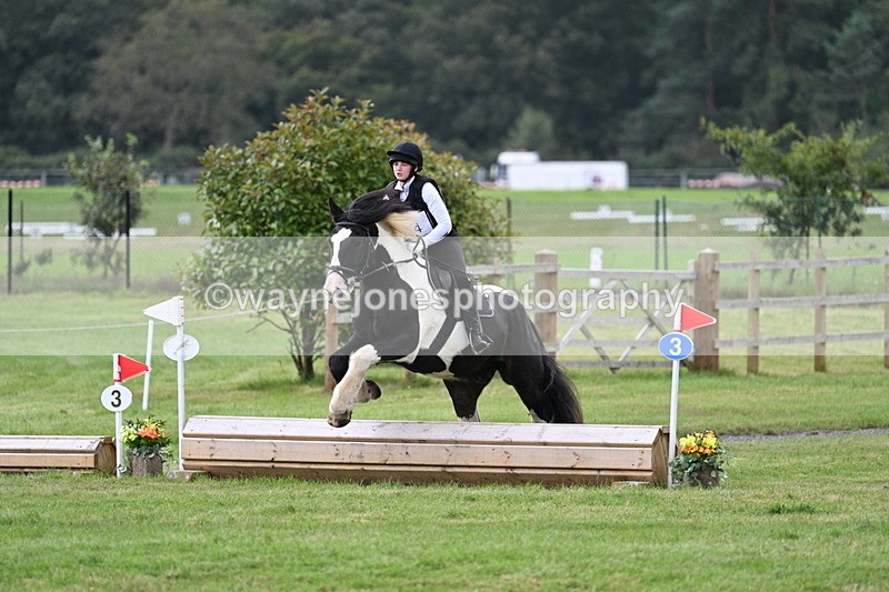 WJ7_8427 - 60cm Time 12:11 to 12:30