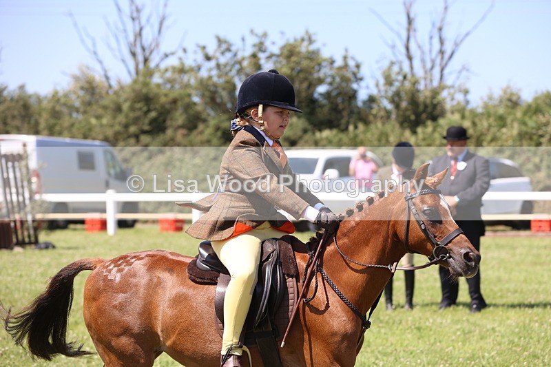 JPP_2243 - Class 20: Tiny Tots Working Hunter Pony