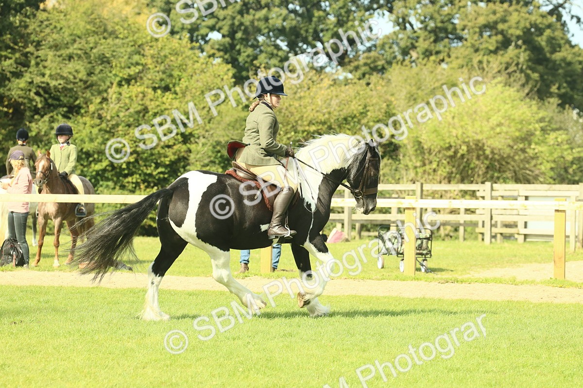 SBM_68807 - S58 - Mini Show Cob Ridden