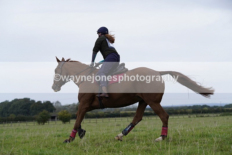 _DSC5423 - Time at Photographer 09:16 to 09:37