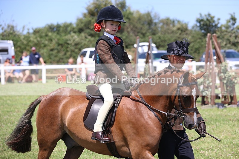 JPP_2297 - Class 20: Tiny Tots Working Hunter Pony