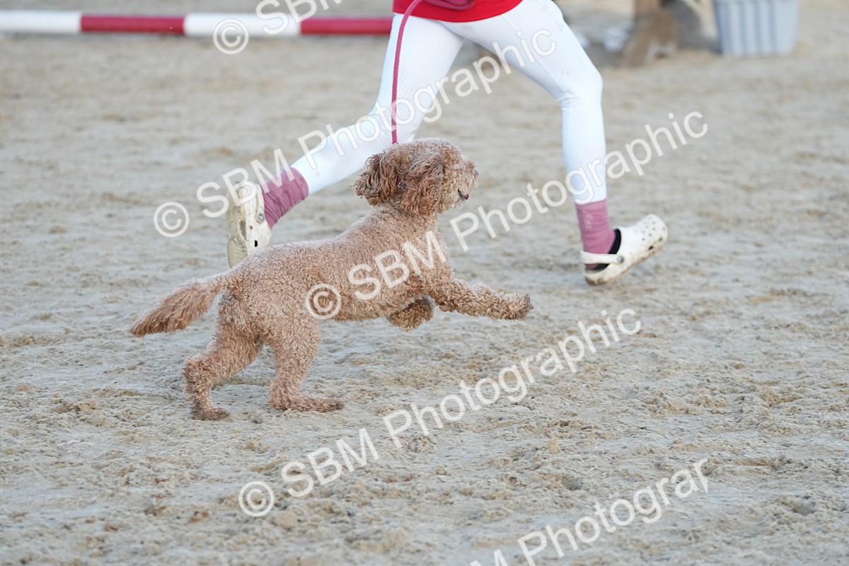 SBM_29487 - J44 - Horse & Hound Open 70cm