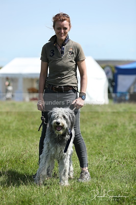 SPXX0582 - Dog show