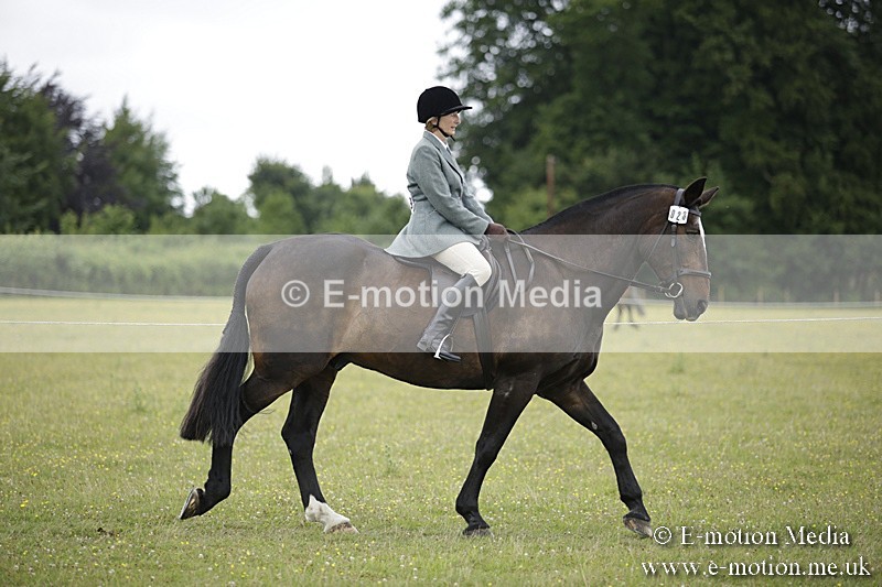 BVR160717-1502 - Ring 1 BVRC Show 16/07/17