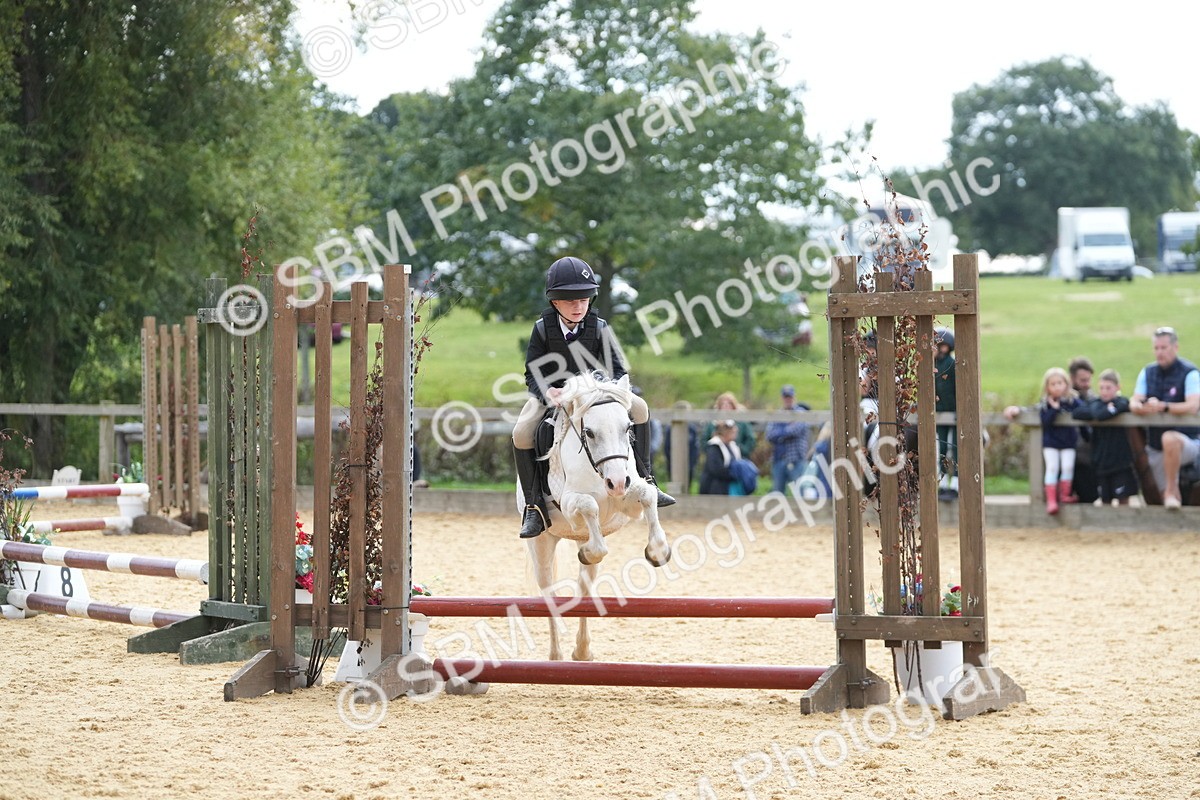 SBM_74700 - J4 - Mini Tour Junior Pony 45cm Championship