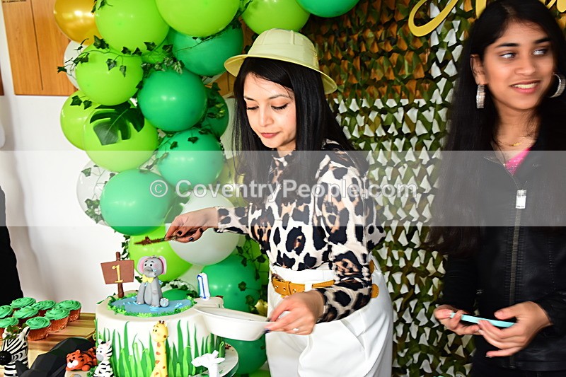 ADN-477 - Aiden's 1st Birthday