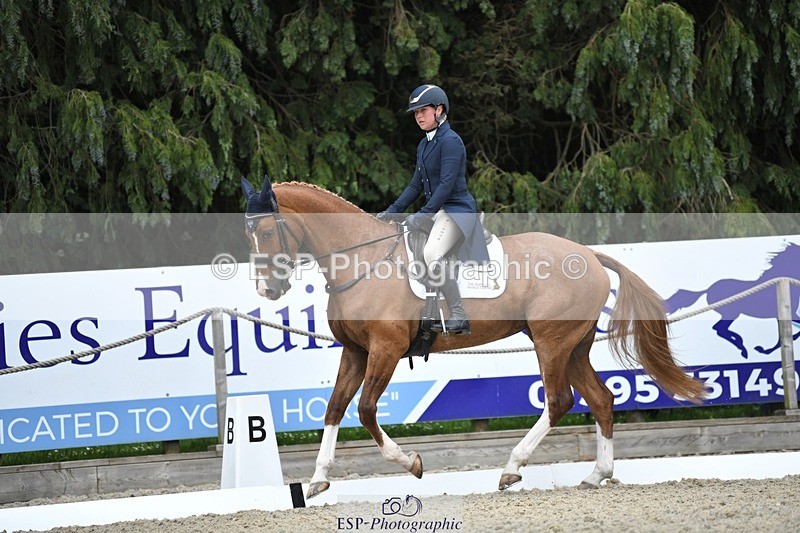 230525-152050-03230 - 308-NEFFECT_S-Kat_Raybould-WEDTrotUp+DR