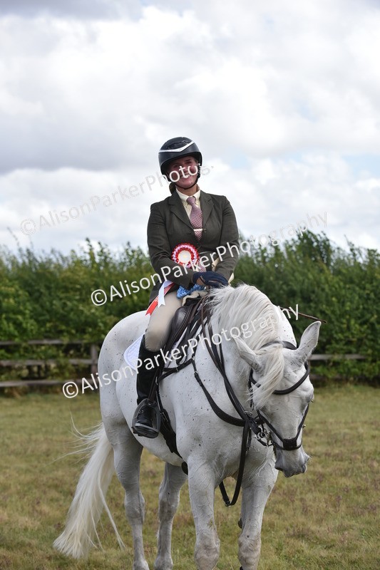 20250831-4137 - Class 13 - Working Hunter Horse or Pony