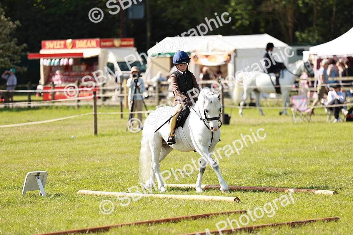 SBM_12633 - Class 106-107 - BSPS LIHS Working Sports Pony