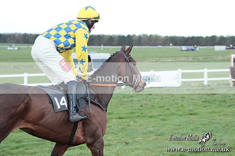 PtP 230324 962 - Tedworth Hunt PtP Larkhill Raccourse 23rd March 2024
